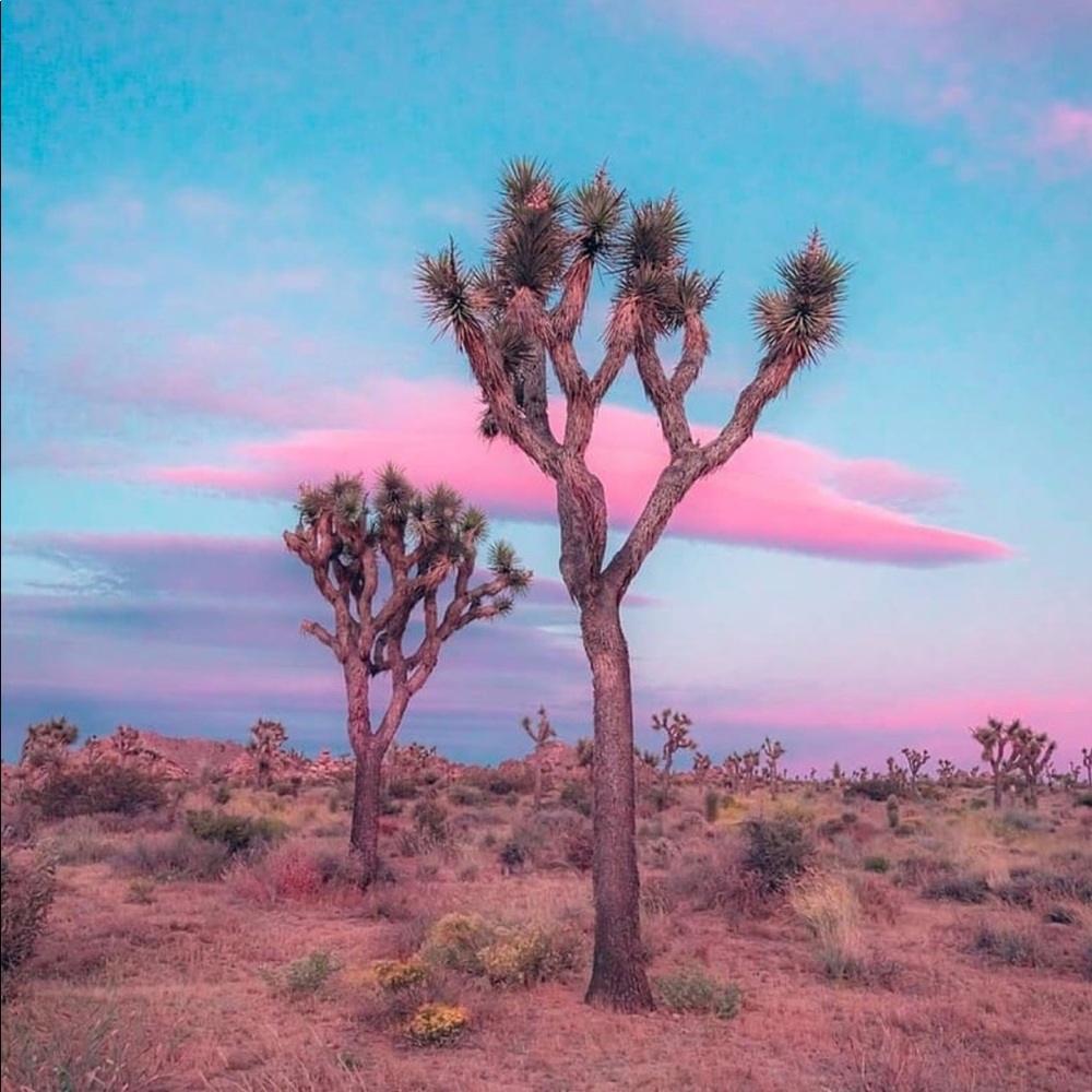 Meet your Posher, Fiona